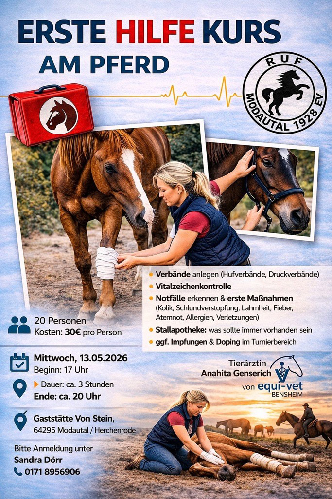 Erste Hilfe Kurs für Pferde